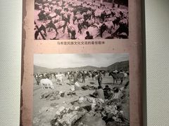 -迪庆藏族自治州博物馆