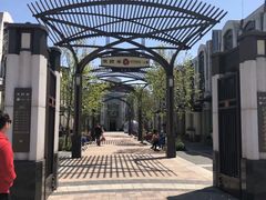 -迪士尼乐园停车场