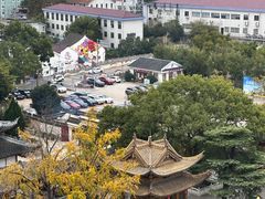 -上海东林寺(金山区)