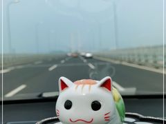 -星海湾跨海大桥