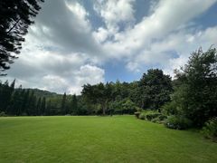 -深圳仙湖植物园