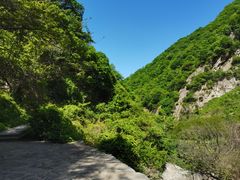 -西安祥峪森林公园
