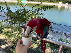 -水上乐园·欢乐世界