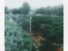 -那家山城(樱桃园店)