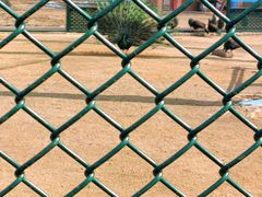 -秦皇岛野生动物园
