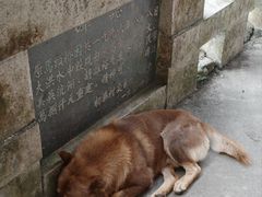 -初溪土楼群