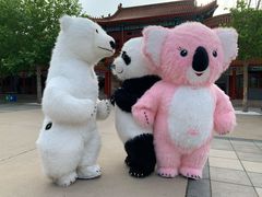 -南戴河国际娱乐中心