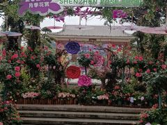 -铂尔登国际酒店(南山深圳湾口岸店)