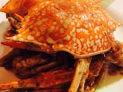 -Red Lobster