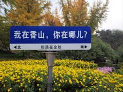 -香山公园