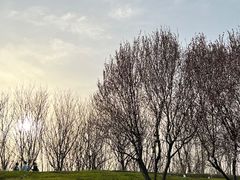 -西安汉城湖景区