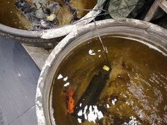 -郭家大院(新源店)