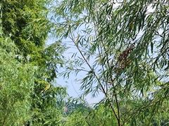 -宁波野生动物园