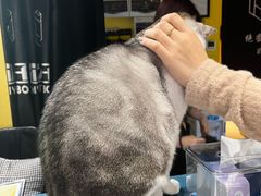 -谜盒子奇幻密室(南屏店)