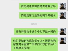 -趣玩宠物乐园寄养训犬训狗游泳池