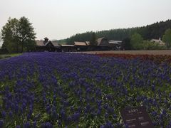-富田农场