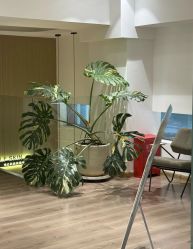 -海菲秀黑钻·SELF SKIN悦己·Tech SPA