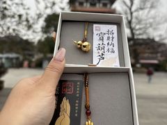 -大明寺素斋