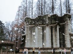 -音乐台