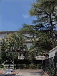 -首都医科大学附属北京儿童医院