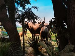 -国家自然博物馆