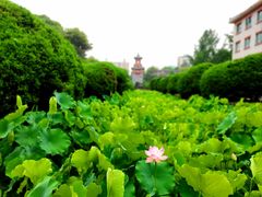 -四川大学(华西校区)