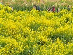 -中国天府农业博览园