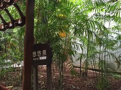 -龙达温泉生态城