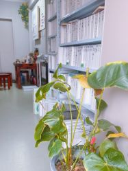 -瘦立方身材管理中心