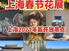 -上海共青森林公园