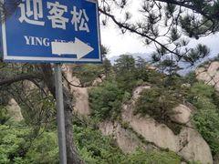 -六里坪国家森林公园