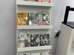 -爱洗澡的猫(望京店)