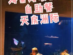 -海棠湾洲际-涛·海底餐厅·美人鱼·自助餐·海底隧道