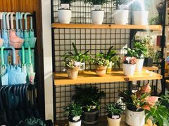 -The Green Party(嘉里中心店)