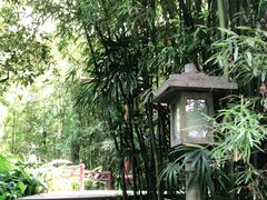 -广州兰圃