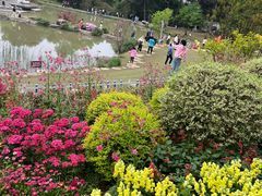 -铁山坪森林公园