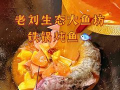 -老刘生态大鱼坊铁锅炖鱼(赛马场店)