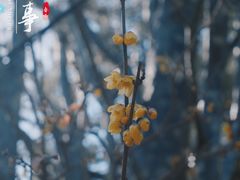 -颐和园