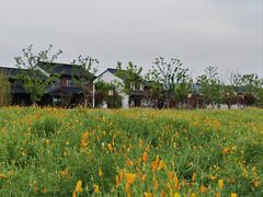 -石湖景区