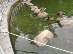 -莲湖公园