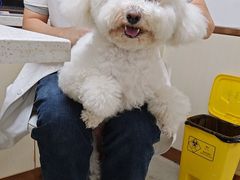 -宠颐生宠物医院·心肾内科·猫专科诊疗中心宠巢店