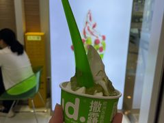 撒露-Salud撒露欧洲冻酸奶(蓝色港湾店)