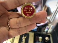 -SAINT LAURENT(海港城店)