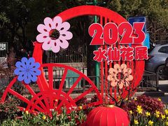 -上海共青森林公园