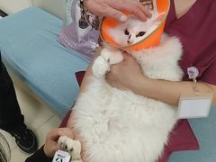-美联众合动物医院·24h京西诊疗中心