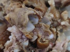 -豫掌柜饸饹面·烩面(秀沿路店)