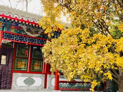 -上海老饭店(北京分店)