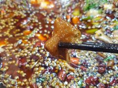 -烧哥美蛙肥肠鱼火锅·十五年社区店