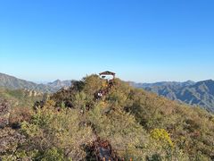 -大岭沟猕猴桃谷风景区