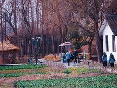 -溱湖国家湿地公园